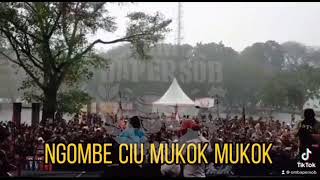 Download lagu satu ciu. story' wa terbaru ngombe ciu mukok-mukok story' wa minum keren abis mp3