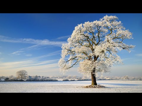 Winter season. What happens in the winter.Winter vocabulary. Talk about winter