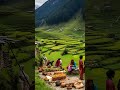 Naturelovers Oldvillagelife