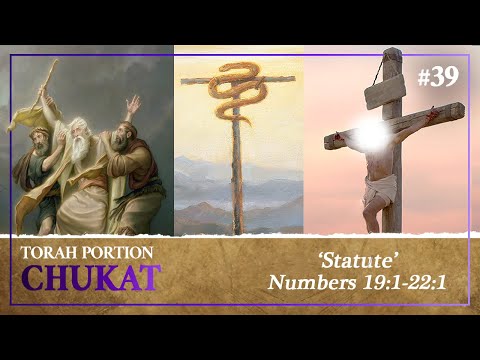 Looking Up To Yeshua, The Remedy For Losing Faith - Torah Portion Chukat