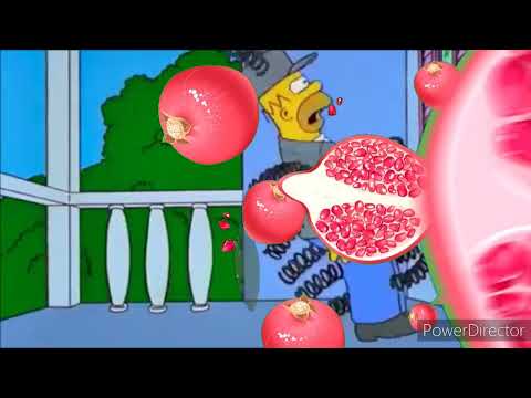 The Wonder Book Part 9 - William Kiddnapped by Creatures