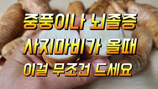 천마의 대표적인 3대효능 이럴땐 무조건 드세요