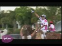 Adolfo Cambiaso: Polo Superstar