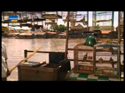 Tropenfieber - Im Land der Kopfjäger (1 / 5)