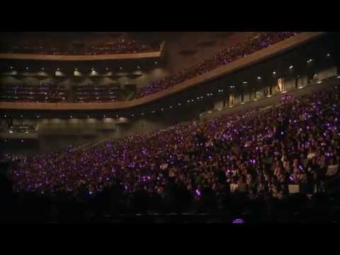 【FMV】少女時代SNSD - Indestructible (中文歌詞)