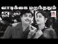 Vaadikkai Maranthathum A M ராஜா P சுசிலா பாடிய பாடல் வா�