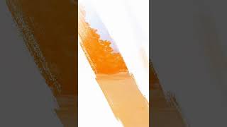 Tour a Isla San Lucas