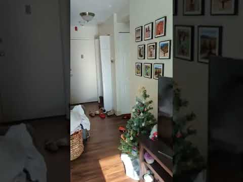 Video of 130 Bowdoin Street , 1707, Boston, MA 02108