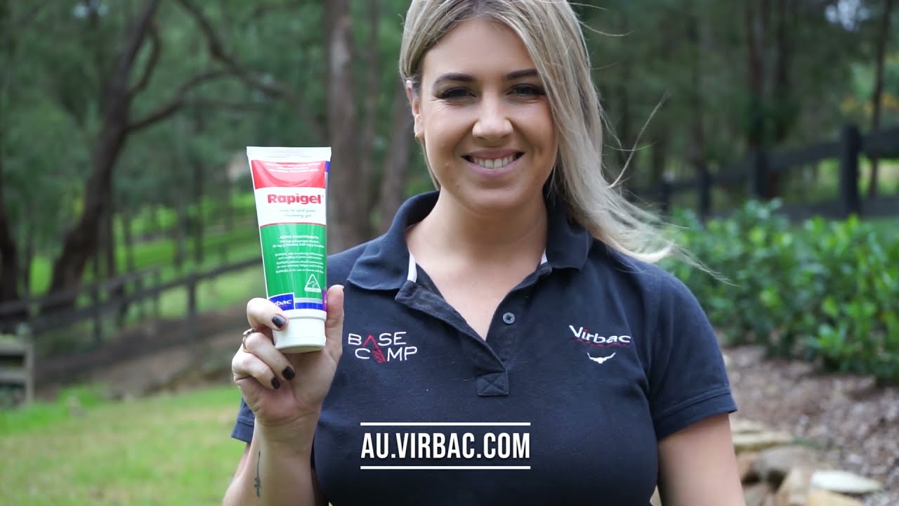 Rapigel - Looking for topical treatment to relieve your horse's sore muscles and joints