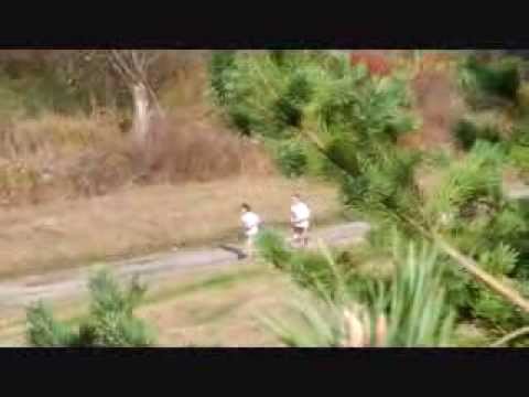 Telesná a športová výchova