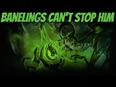 Abathur vs Zagara in Tankness vs Explosions (Sc2 Direct Strike Commanders)