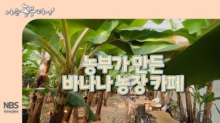 [나는농부다 290회] 농부가 만든 바나나 농장 카페