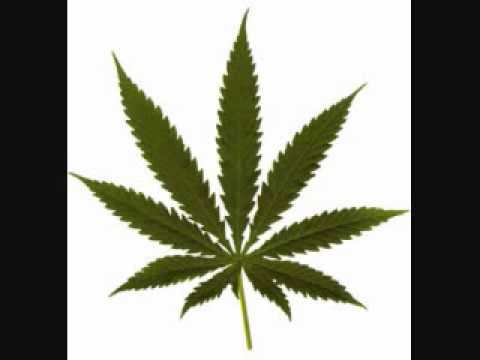 Dankstep - Bass Melter