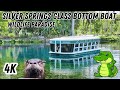 Morning Walk And Wildlife On Silver Springs Glass Bottom Boat Ride