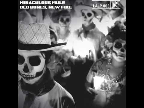 Fire In My Bones · Miraculous Mule