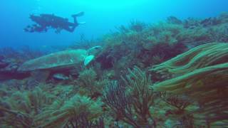 Lost At Sea by the Steppas