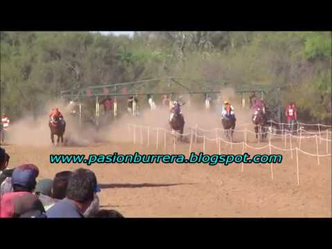 Plumas Verdes, Chamical (07-10-18)