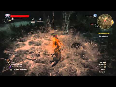 The Witcher 3: Wild Hunt Part 359 (Story and Sword, Blind)