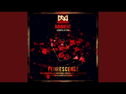 Moonlight (Original Mix)