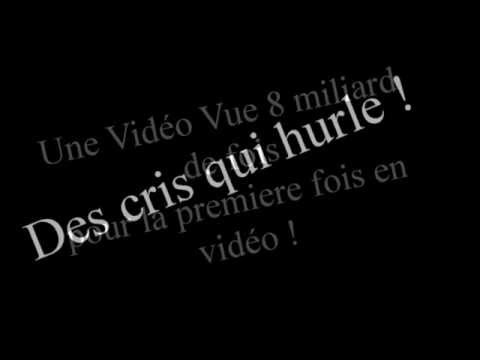 TROP QUOI XD LOL TSAMERE GAMING TEST