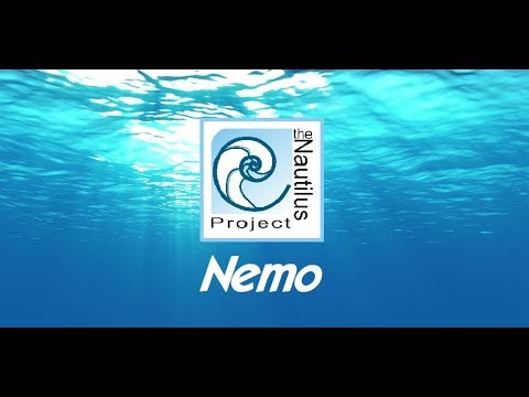 Nemo