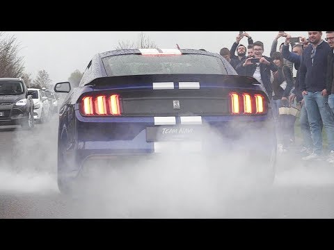 Supercars Accelerating & Revving at Cars & Coffee 2018 - F12 N-Largo, Apollo IE, F40, GT2 RS & More!