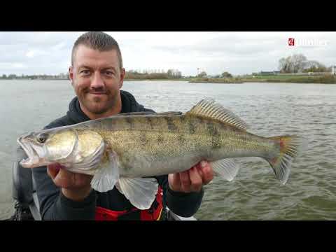 Guiding mit Gockel: In Nullkommanix zum Zander!