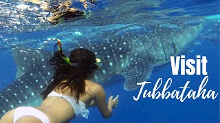 Download lagu 4K and 360° - Diving Destinations in the PHILIPPINES: TUBBATAHA REEF mp3 Download lagu 4K and 360° - Diving Destinations in the PHILIPPINES: TUBBATAHA REEF mp3