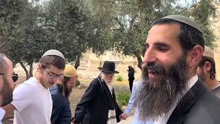 שבתי בבית ה׳ • שמחים עם הישיבה הרב אלישע וחתן חידון התנ״ך העולמי אלעד יניר (ישיבת הר הבית) - התמונה מוצגת ישירות מתוך אתר האינטרנט יוטיוב. זכויות היוצרים בתמונה שייכות ליוצרה. קישור קרדיט למקור התוכן נמצא בתוך דף הסרטון שבתי בבית ה׳ • שמחים עם הישיבה הרב אלישע וחתן חידון התנ״ך העולמי אלעד יניר (ישיבת הר הבית) - התמונה מוצגת ישירות מתוך אתר האינטרנט יוטיוב. זכויות היוצרים בתמונה שייכות ליוצרה. קישור קרדיט למקור התוכן נמצא בתוך דף הסרטון