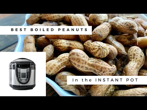 download lagu mp3 mp4 Where Can I Buy Green Peanuts Near Me, download lagu Where Can I Buy Green Peanuts Near Me gratis, unduh video klip Where Can I Buy Green Peanuts Near Me