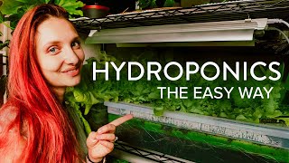 Hydroponics - The Easy Way - Indoor Gardening in an Apartment or Home