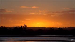 SUNSET July 9, 2016 Roses Given Harry Max