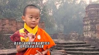 [問卦] 台灣真的沒救了吧？