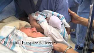 Perinatal Hospice Video