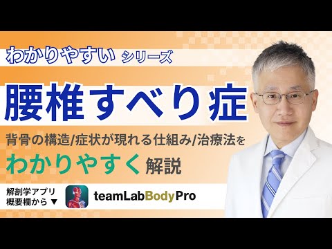 脊椎すべり症について詳しく解説