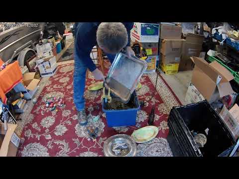 Strip silver plate 2