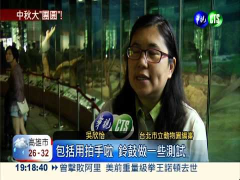 聽媽媽的話! 圓仔小耳出現聽覺