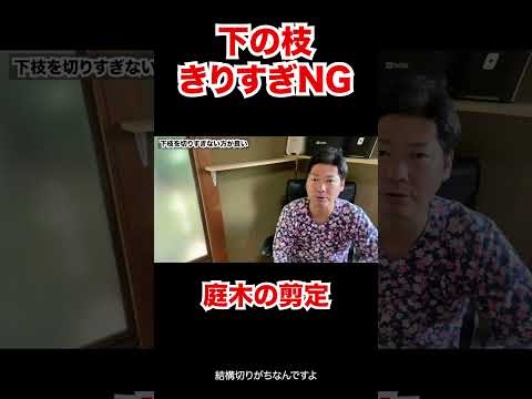 果樹の剪定：避けるべき間違いは何ですか？私たちのトップ3！  庭園