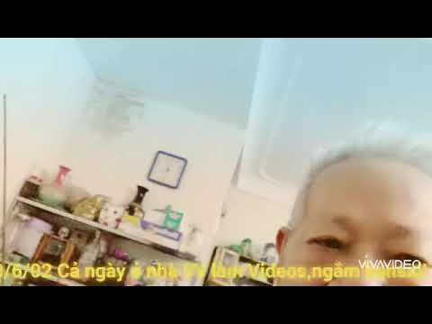 2020/6/02 Cả ngày ở nhà YV làm Videos, ngắm bonsai !