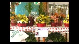 preview picture of video 'Garden Fair e Enflor 2011 Holambra Brasil'