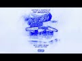 Tee Grizzley Fight This Case Official Visualizer