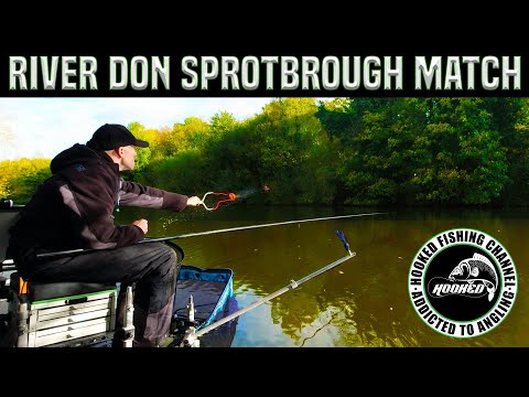 Match Fishing - River Don Sprotbrough - Rotherham & District UAF
