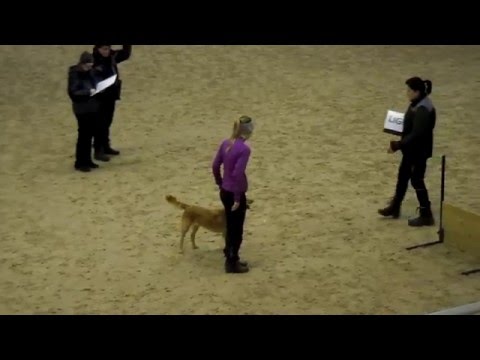 Elitklass Rättvik Kopparhults Perla