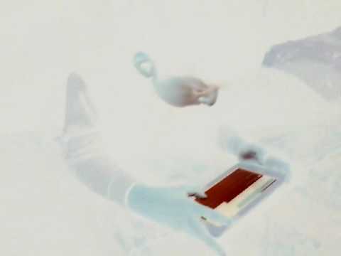 Vi presento mio fratello