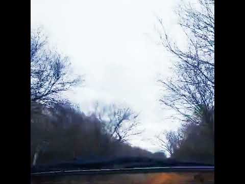 Caatinga Estrada da Fz MR Ibipeba Ba