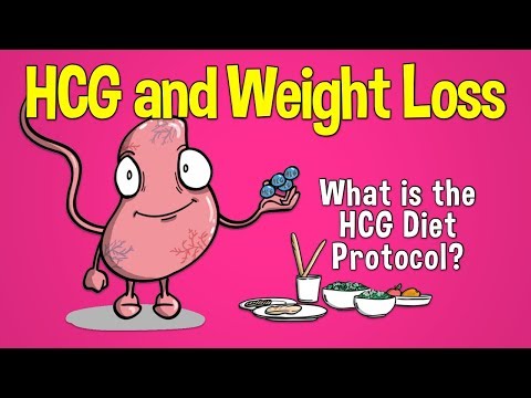HCG and Weight Loss: What is the HCG Diet Protocol?