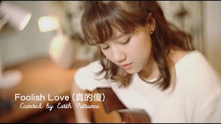 徐佳瑩 - Foolish Love 真的傻 Earth Patravee Cover 翻唱