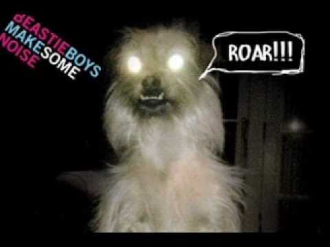 Leo le Bug - Bouncefloor (Chinese Man records)