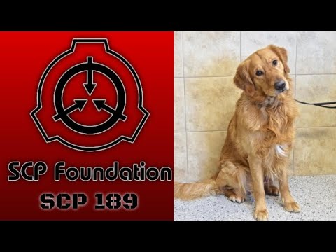 A Cat Reads || SCP Articles || SCP-189 - Hair-Imitating Parasite