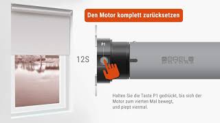  Motor zurücksetzen